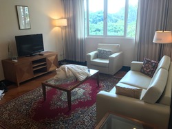 The Hermitage (D10), Apartment #205012861